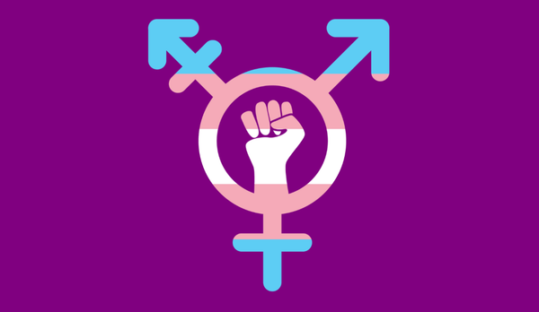 a transgender symbol and feminism symbol merged into one. the symbol has trans flag colors on it. it's also on a deep purple background